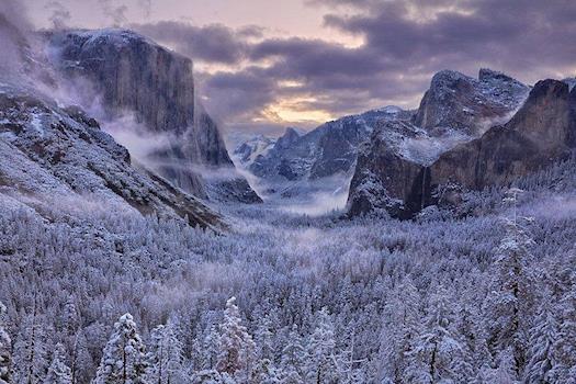 Snow Landscape