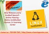 Linux Professional Institute Courses
