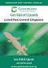 Lizard Pest Control Singapore – Greencare