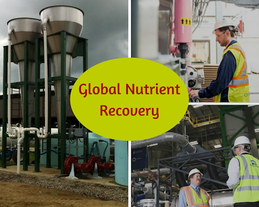 Global Nutrient Recovery System Forecast & Opportunities 2022