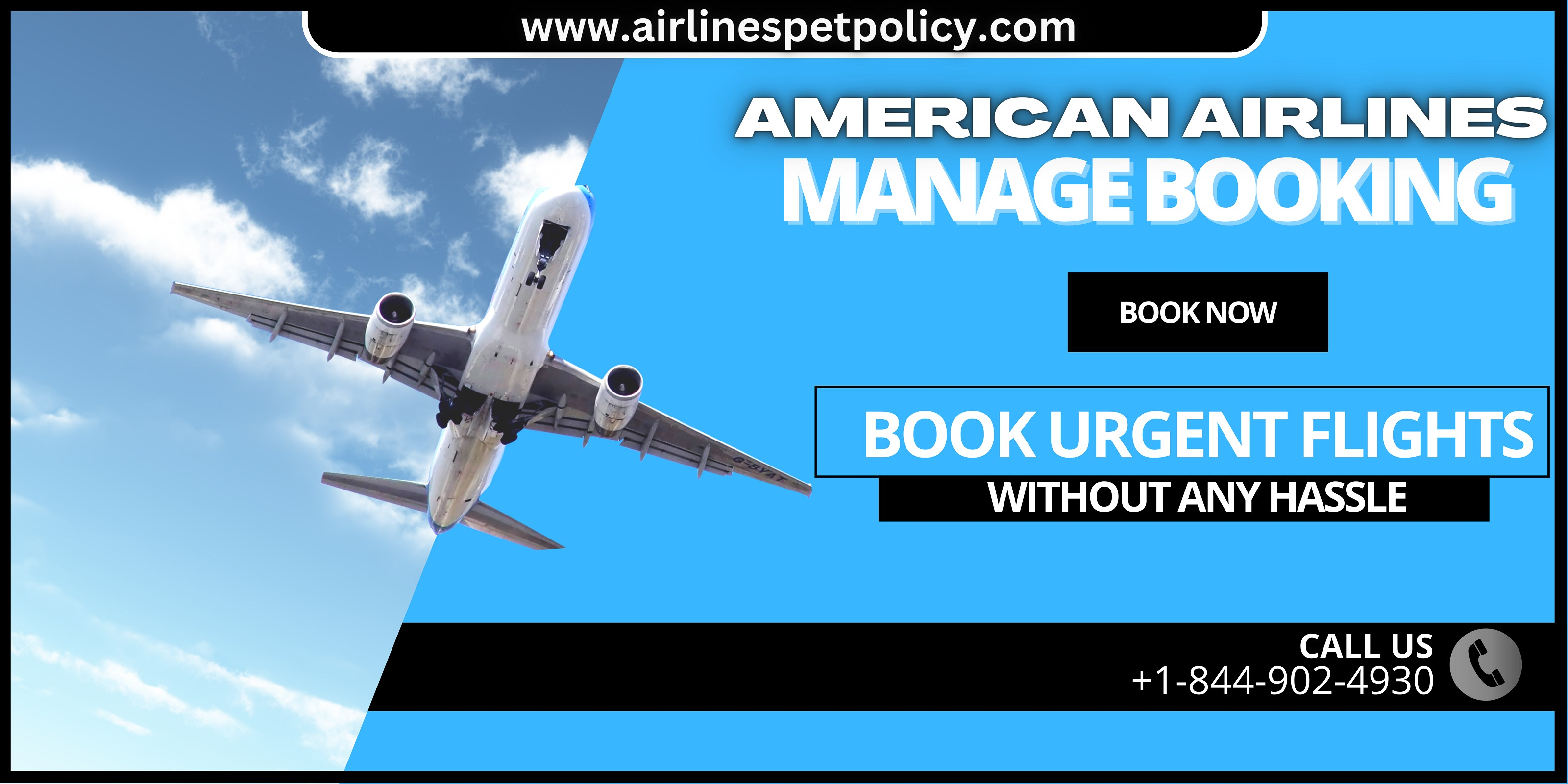 American Airlines - Manage Flight Booking : Airlines Pet Policy