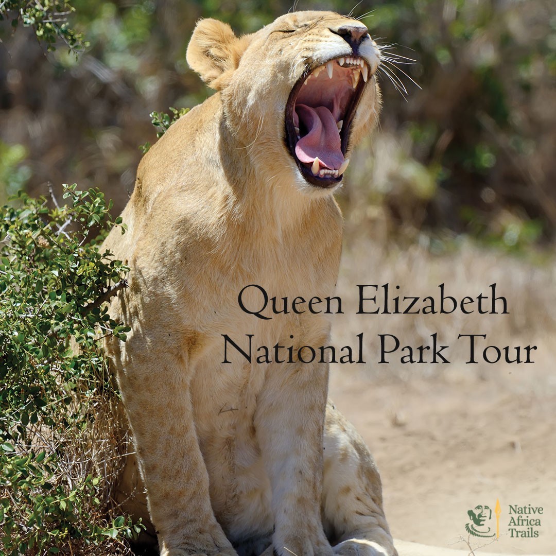 Queen Elizabeth National Park Tour
