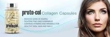 Proto-Col Collagen Review 2018 