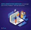 Data Annotation Services to Leverage Your AI ML Models - EnFuse Solutions
