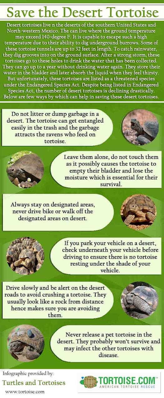 Save the Desert Tortoise