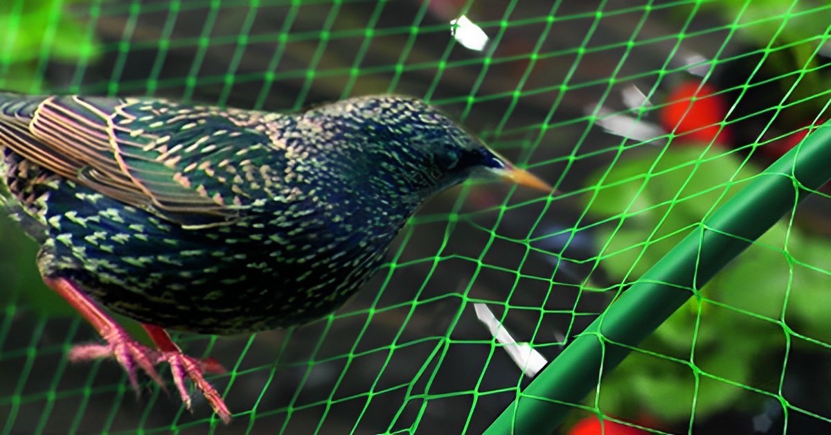 Deepthi Enterprises | Anti Bird Nets Chennai | Anti Bird Nets Price in Chennai