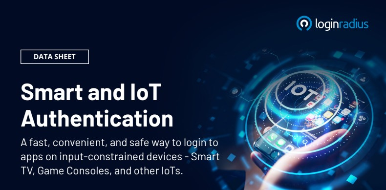 Securing the IoT Ecosystem: Streamlined Authentication for Smart Devices