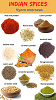 Indian spices | Vyom overseas