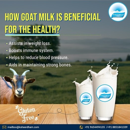 Goat milk delivery near me | Ksheerdham Dairy Products