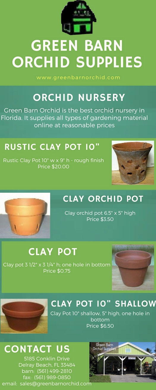 Orchid Pots for Sale Online in Florida at Best Prices