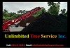 Best Tree Trimming and Tree Removal Service in Catonsville, MD