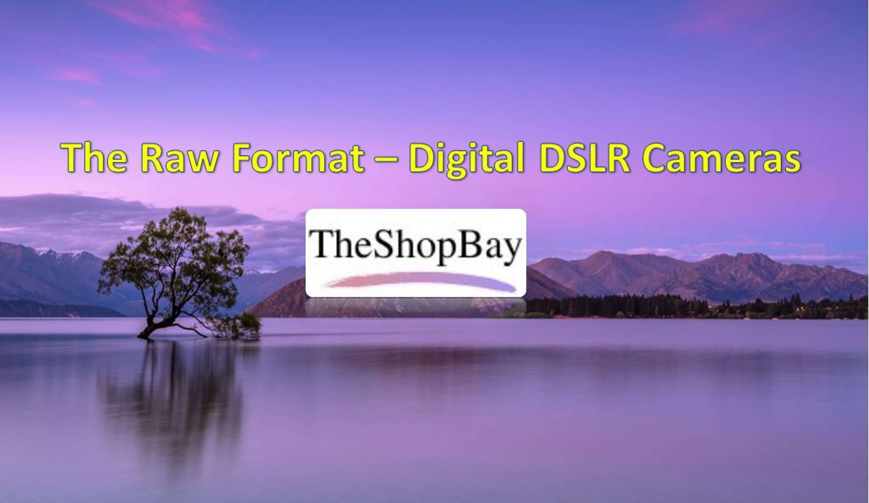 The Raw Format – Digital DSLR Cameras - TheShopBay