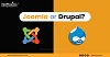 NetMaxims Tech | Drupal Or Joomla - Which One is The Best CMS Framework?