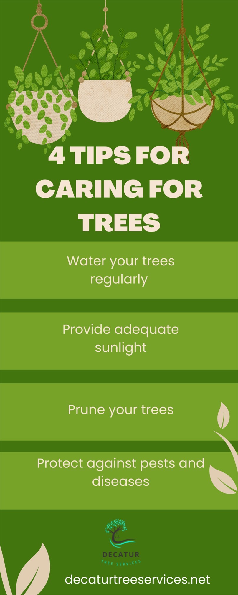 4 Tips for Caring for Trees [Infographic]