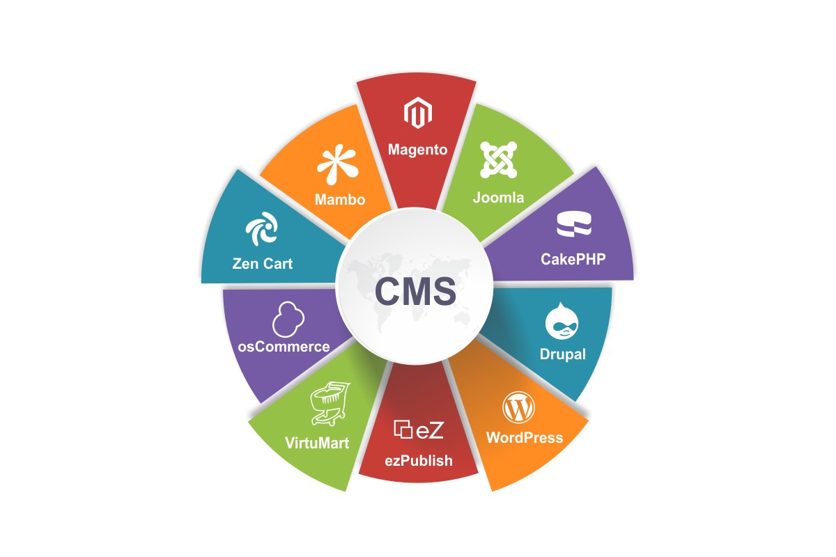 Content Management System (CMS)