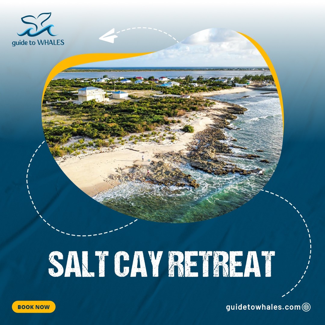 Salt Cay Retreat by Guide To Whales