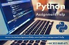 Online Python Assignment Help by Programming Experts