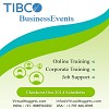Tibco Business Events Online Training-Virtualnuggets.com