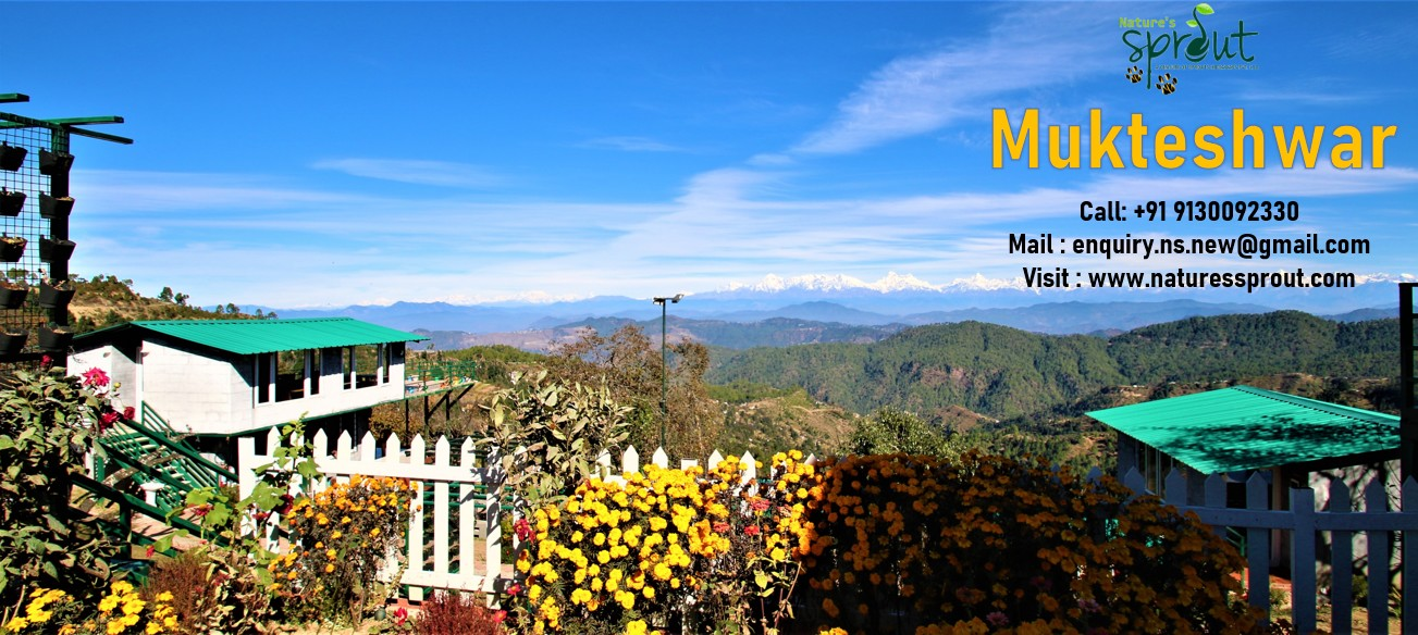 Nature's Sprout Homestays in Mukteshwar