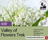 Valley of Flowers Kashmir: A Floral Delight Awaits