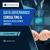 Data Governance Consulting & Business Intelligence Services