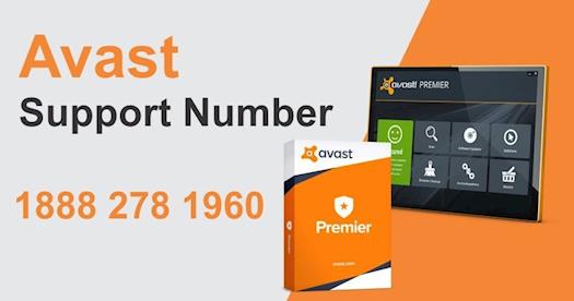 Avast Support is Available via First Dial Service for Antivirus Support