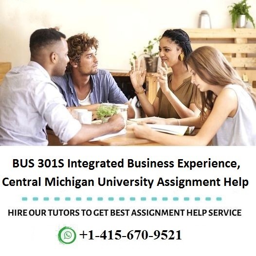 BUS 301S Integrated Business Experience Assignment Help