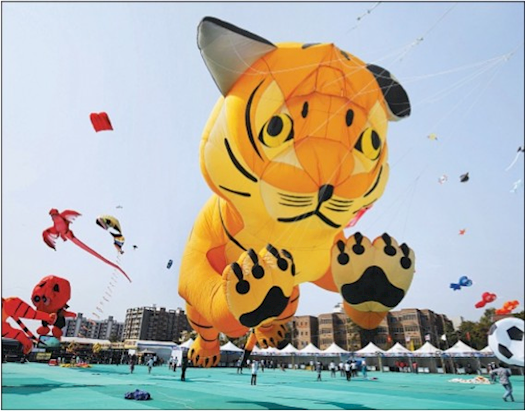 Enthusiasts Flying Kites in the Shape of Tiger and Various other Animals and Birds at International 