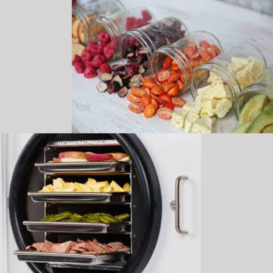 Harvest Right Freeze Dryers and Food Preservation in Missouri