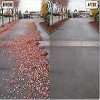 Parking Lot Sweeping