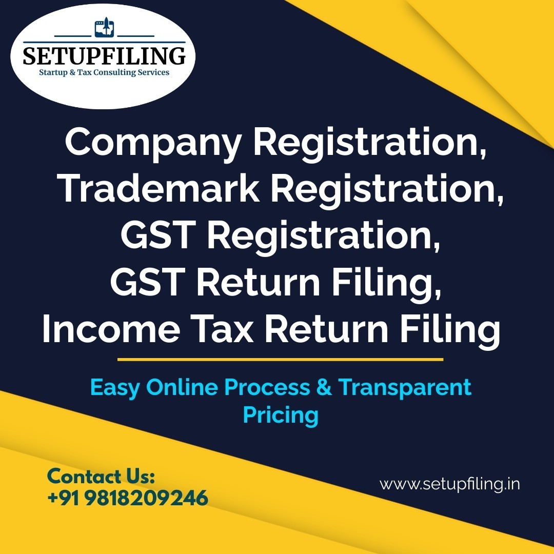 Startup and tax Consulting Services