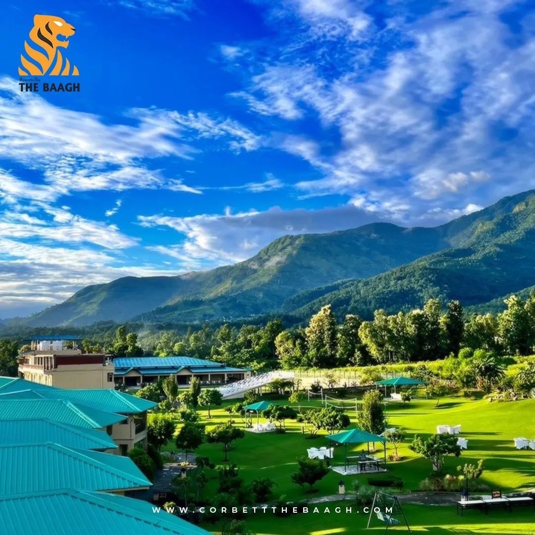 5-star resort in jim corbett