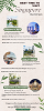 Best Time to Visit Singapore and Must-Visit Spots
