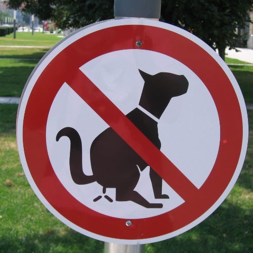 Pet waste removal Chicago