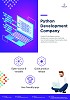  Leading Python Development Company
