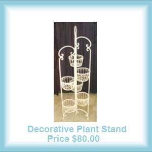 Decorative Orchid Stand for Sale Online in Florida