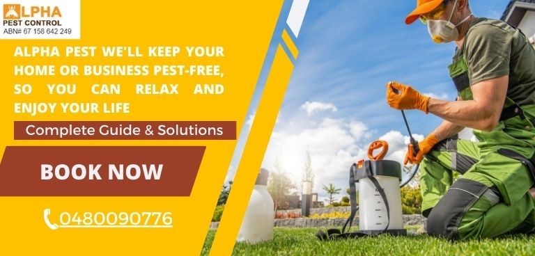 Pest Control Hobart