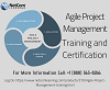 Develop strong agile skills for project management with Agile Project Management Training and Certif
