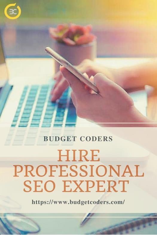 Want To Hire Professional SEO Expert? | Budget Coders
