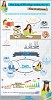Online Tutoring Infographic by HwA