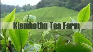 farm tours kenya