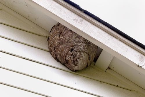 Portland Pacific Pest Control