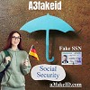 Fake SSN