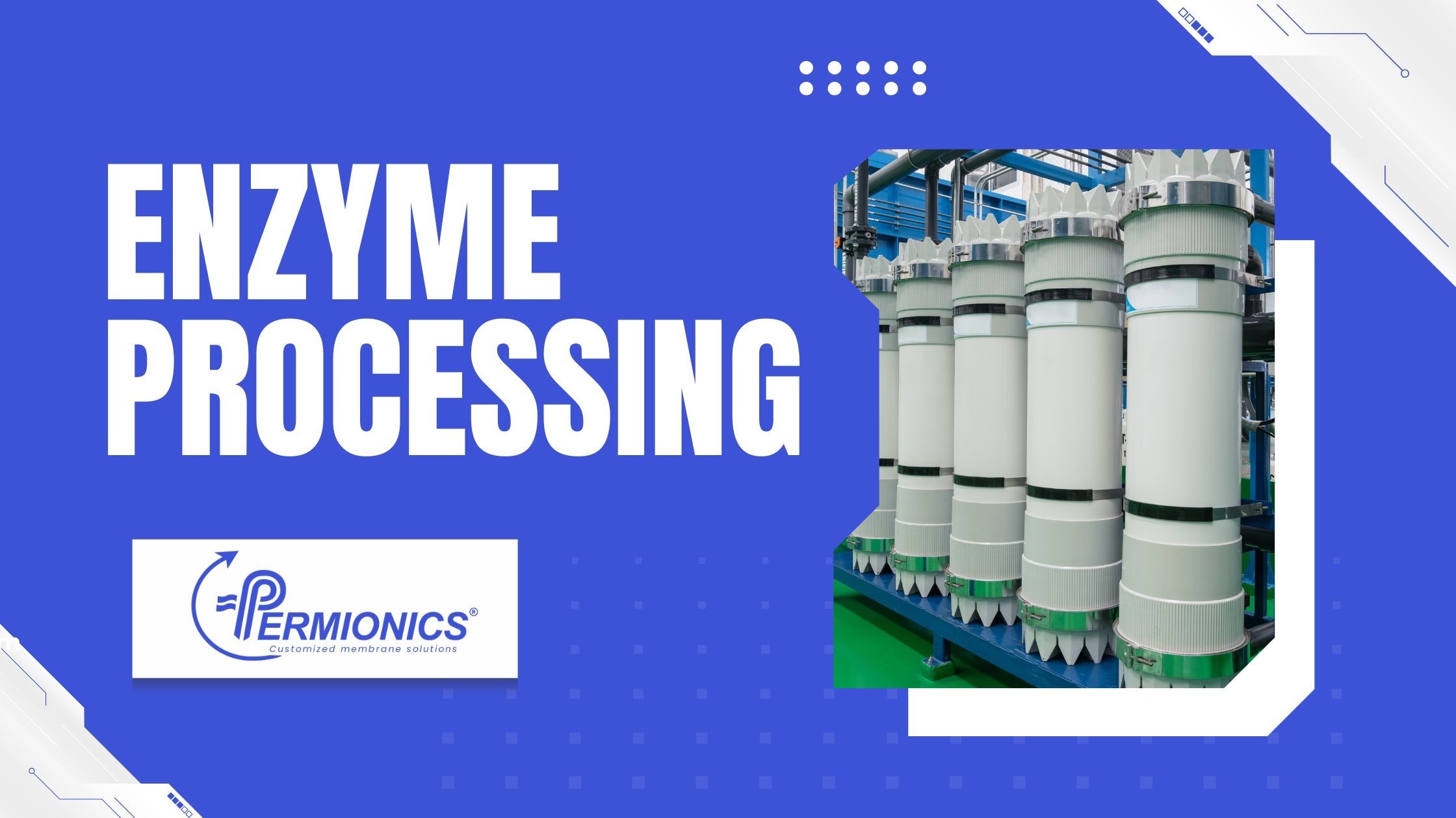 Enzyme Processing A Green Alternative to Chemical Methods