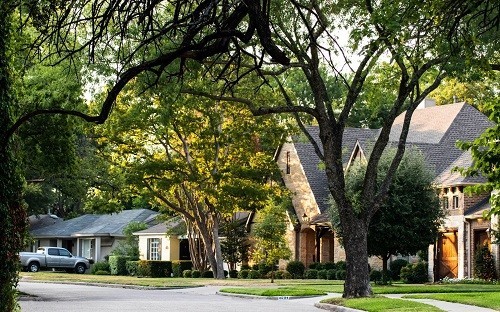 Image1