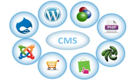 CMS Development & Site Management