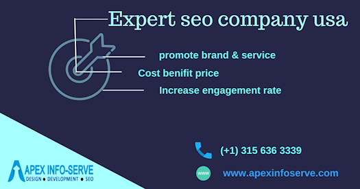 Expert seo company usa | Apex Info-Serve