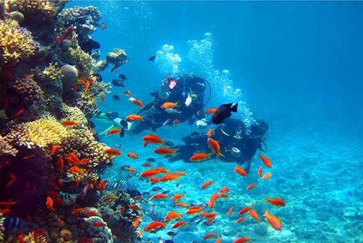 Thrilling activities to do in Andaman