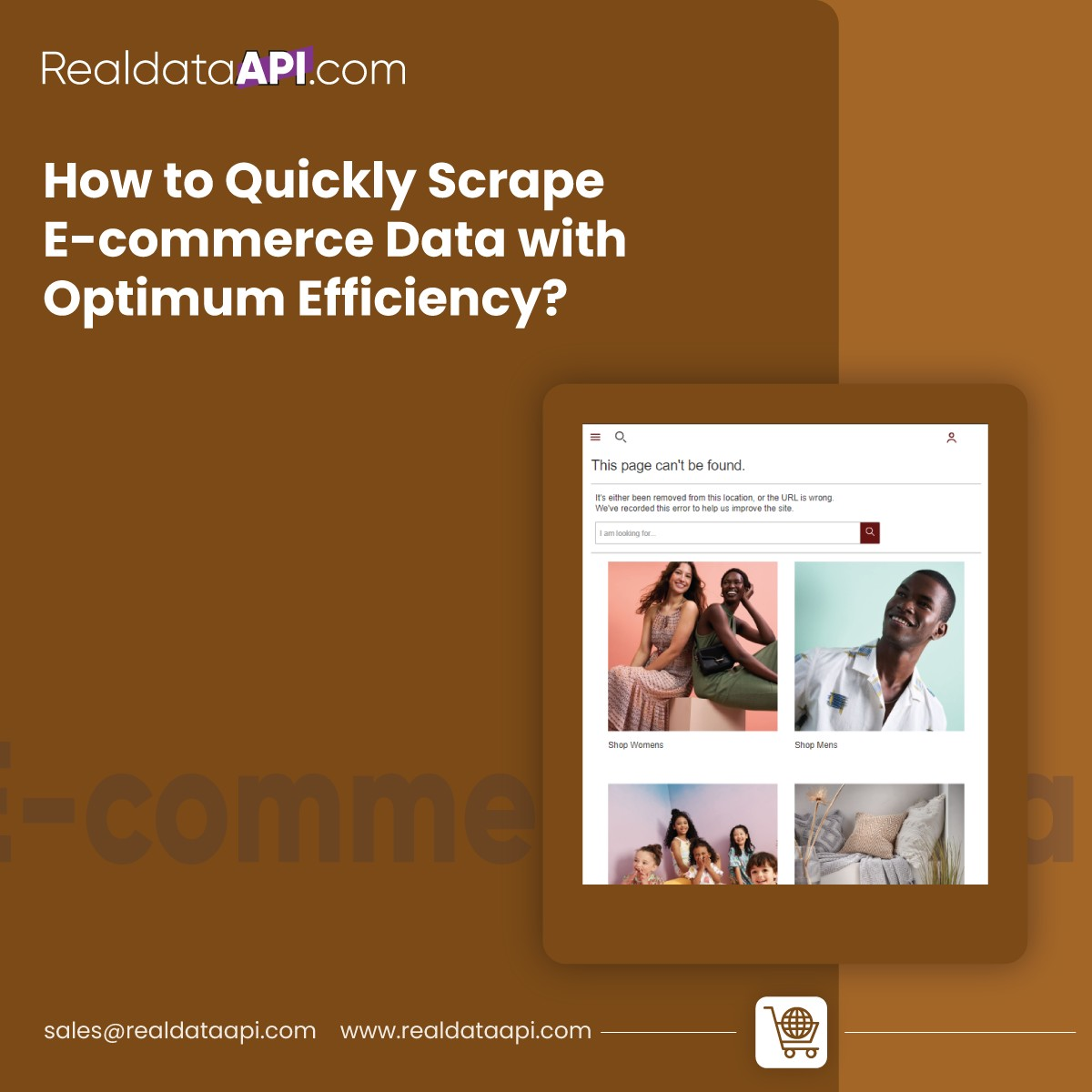 How to Quickly Scrape E-commerce Data with Optimum Efficiency