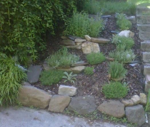 A clients Herb Garden
